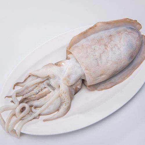 墨鱼大墨超大鲜活海鲜野生新鲜淡水鱿鱼乌贼冷冻墨鱼