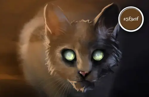 描绘了一幅可怕的僵尸猫