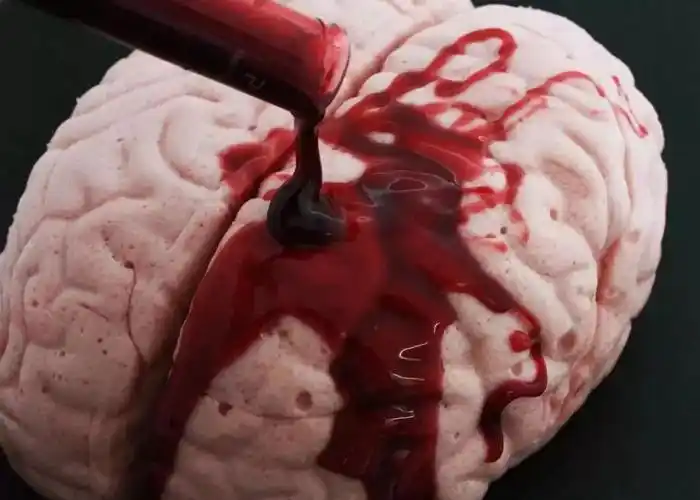 与人脑同等大小的棉花糖,端上来就让人哗哗尖叫,再淋上脑浆一样浓稠的