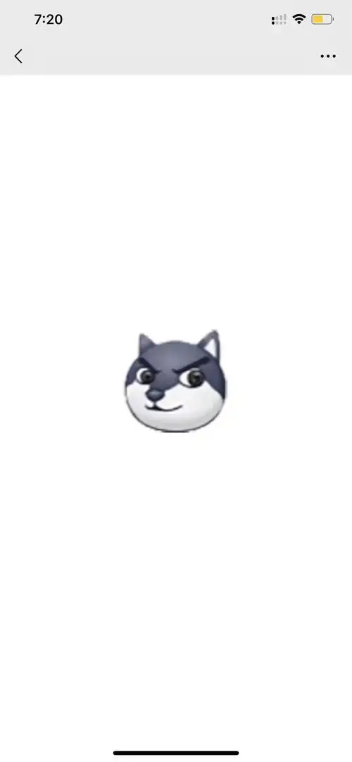 求一个狗头嘴里叼着花然后靠着墙的一个表情包找到啦