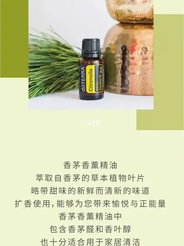 单方 citronella 香茅拉丁名:cymbopogon winterianus由一种高大,源于