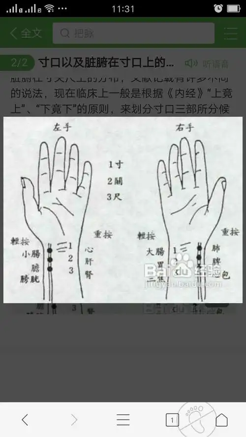 传统脉学,养生兴趣学习长期群,手把手教你中医脉学