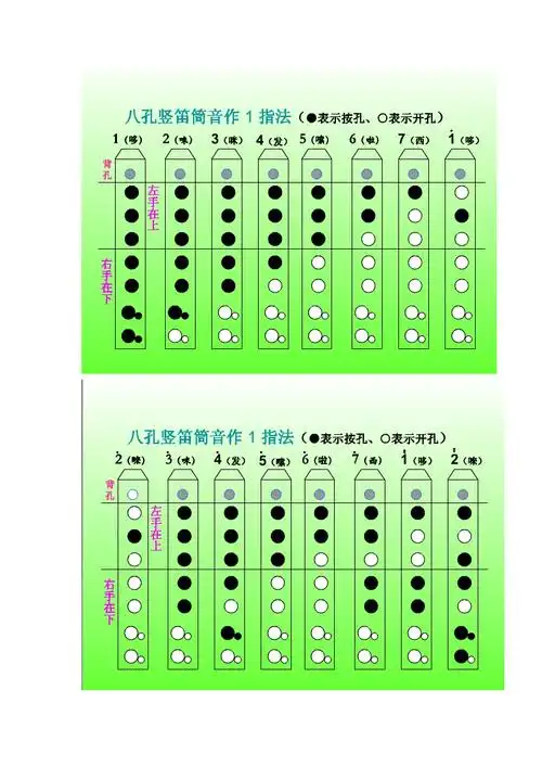 但我想练一首曲子,求乐谱竖笛指法黑人抬棺bgmb站版八孔竖笛简谱