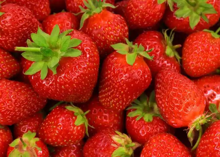 水果图片_水果图片大全_全景图片