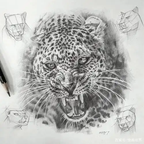 动物素描很难画出体积感?其实是你的造型不对,老师都是这样画的