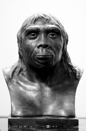 北京人是我们的祖先吗