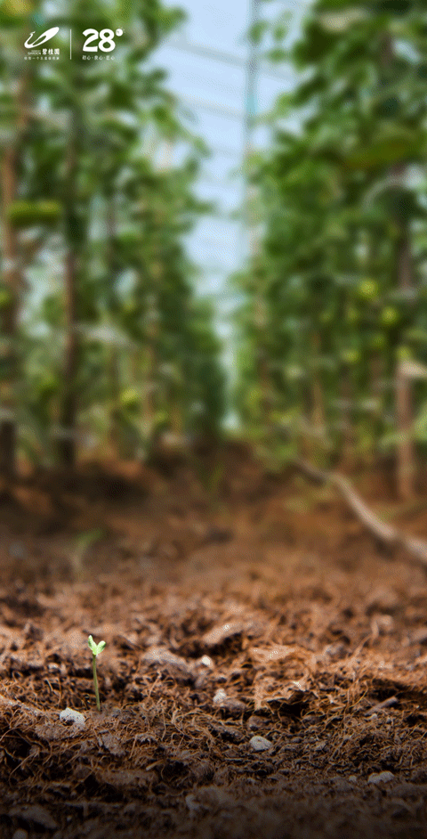 带着斗志而来,一起见证种子的力量