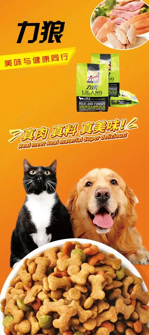 橙色宠物店狗粮宣传海报