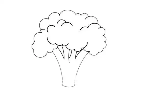 西兰花画过吗西兰花的手绘画法步骤教程