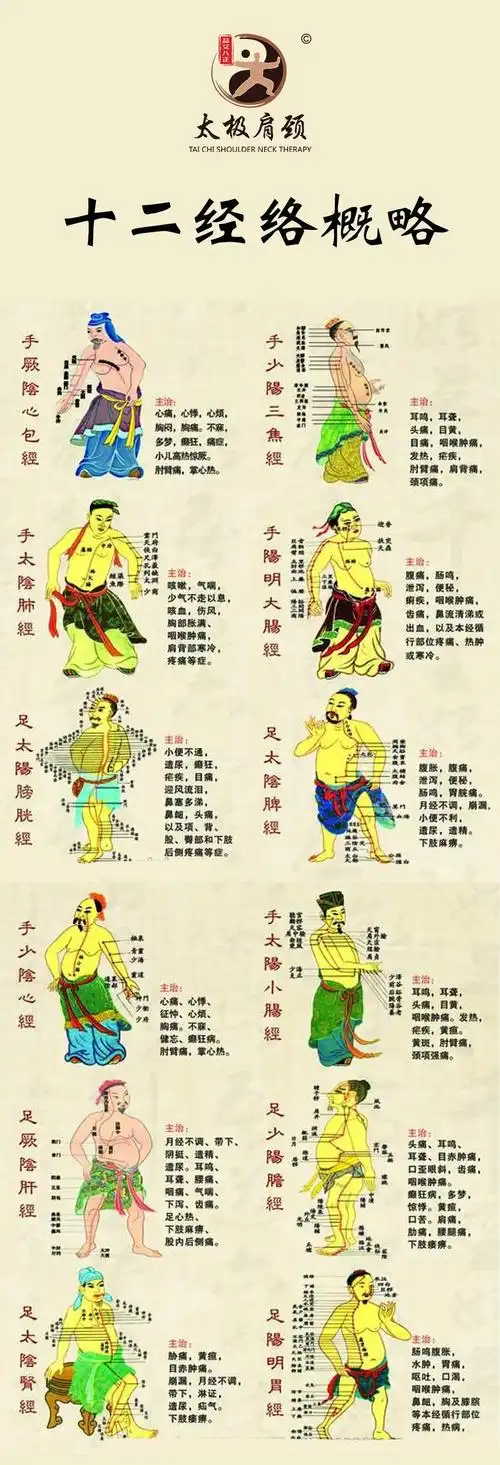 12经络分别主导着哪些情绪艾灸帮你通经活络治未病