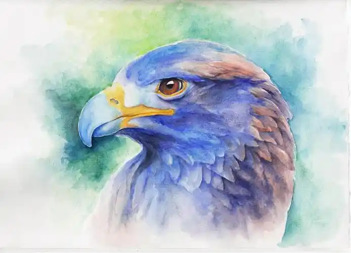 老鹰水彩画老鹰水彩画法