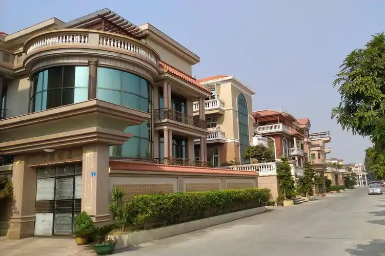 实拍南方新农村一排排整齐的自建别墅这档次不一般