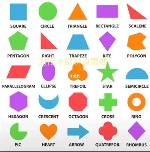 数学图形的英文名称