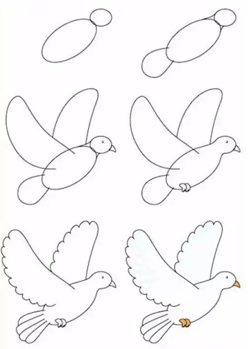 画简单又漂亮儿童画和平鸽简笔画教程和平鸽的简笔画和平鸽简笔画步骤