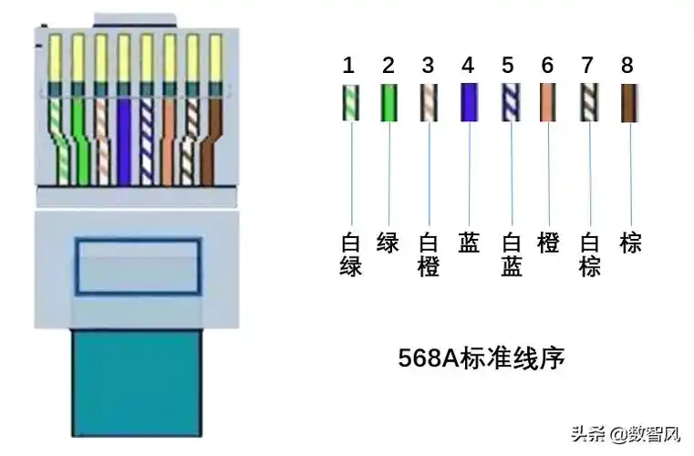 依照568a尺度线序,水晶头线槽从左到右依次插入白绿,纯绿,白橙,纯蓝