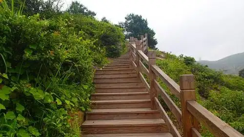 健身的过程中顺带观赏春景,浙江这条登山步道值得春游打卡