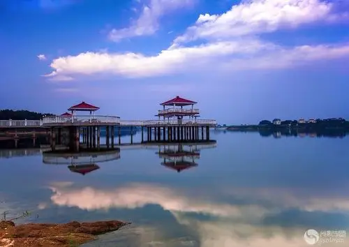 南阳的春天哪最美?美景呈现,赏景去!