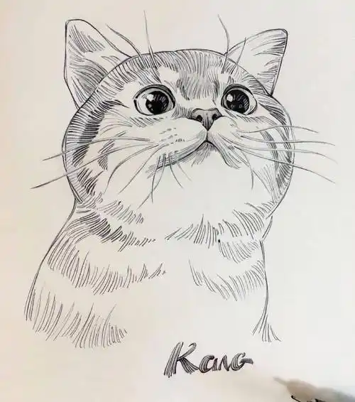 太疯狂了动物线描就该这样画用简单的笔画出超精美的画绝了谁看都受不