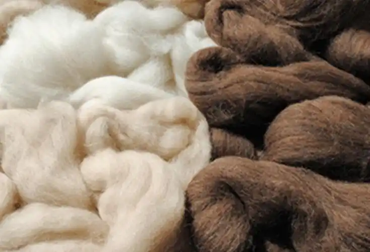 来了解下神兽羊驼毛面料的特点和用途