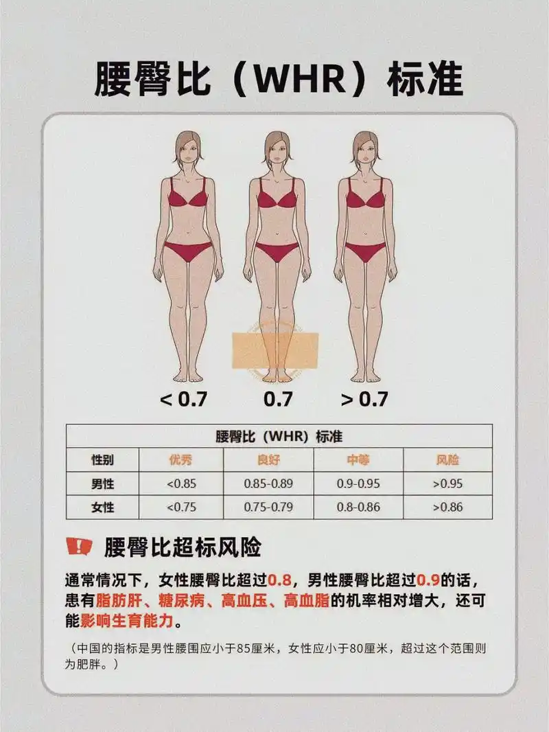 75就算不错了,黄金腰臀比是0.7,欧美腰臀比通常可以达到0.