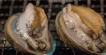 平常买鲍鱼时都问要买几头的,几头是什么意思?今天可算明白了