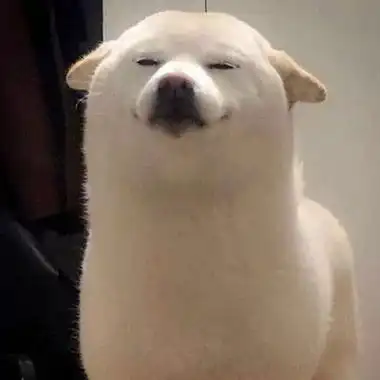 求沙雕又可爱的qq女生头像鸭粉丝求图:0301可爱又不失沙雕的女生头像