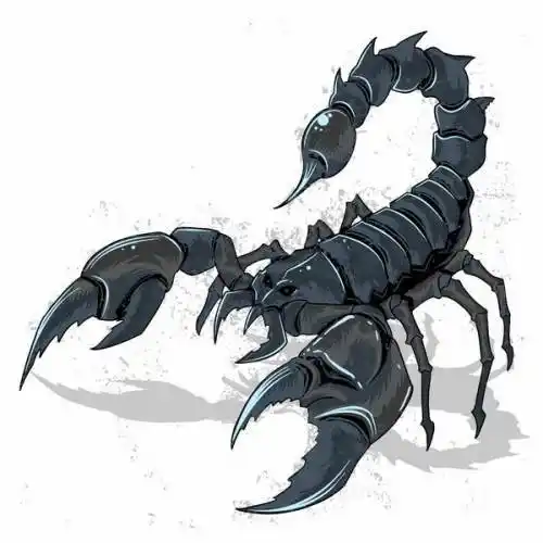超酷的黑色蝎子天蝎座png图片免抠矢量素材