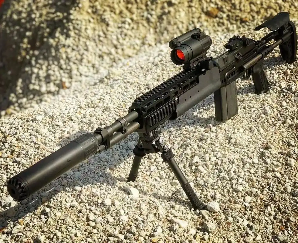 静观其变oss消音器美图欣赏