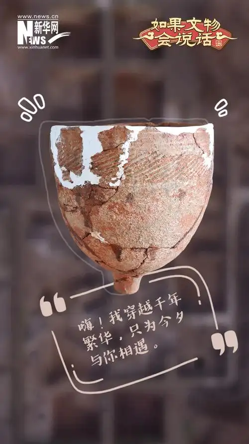 如果文物会说话丨延续近4000年这座考古遗址因何而特别