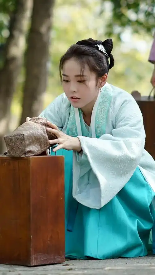 知否知否应是绿肥红瘦 盛如兰 张佳宁