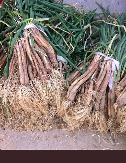 陕北红葱新鲜 2500g正宗山地旱地红皮葱丝去叶去须