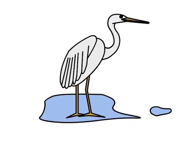 白鹭的画法 白鹭简笔画-养娃家