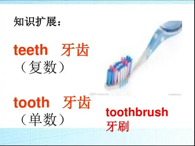 知识扩展: teeth 牙齿 (复数) tooth 牙齿 toothbrush (单数) 牙刷
