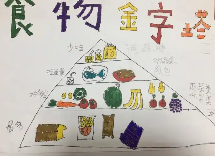 我画的食物金字塔!