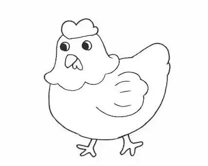 母鸡简笔画图片