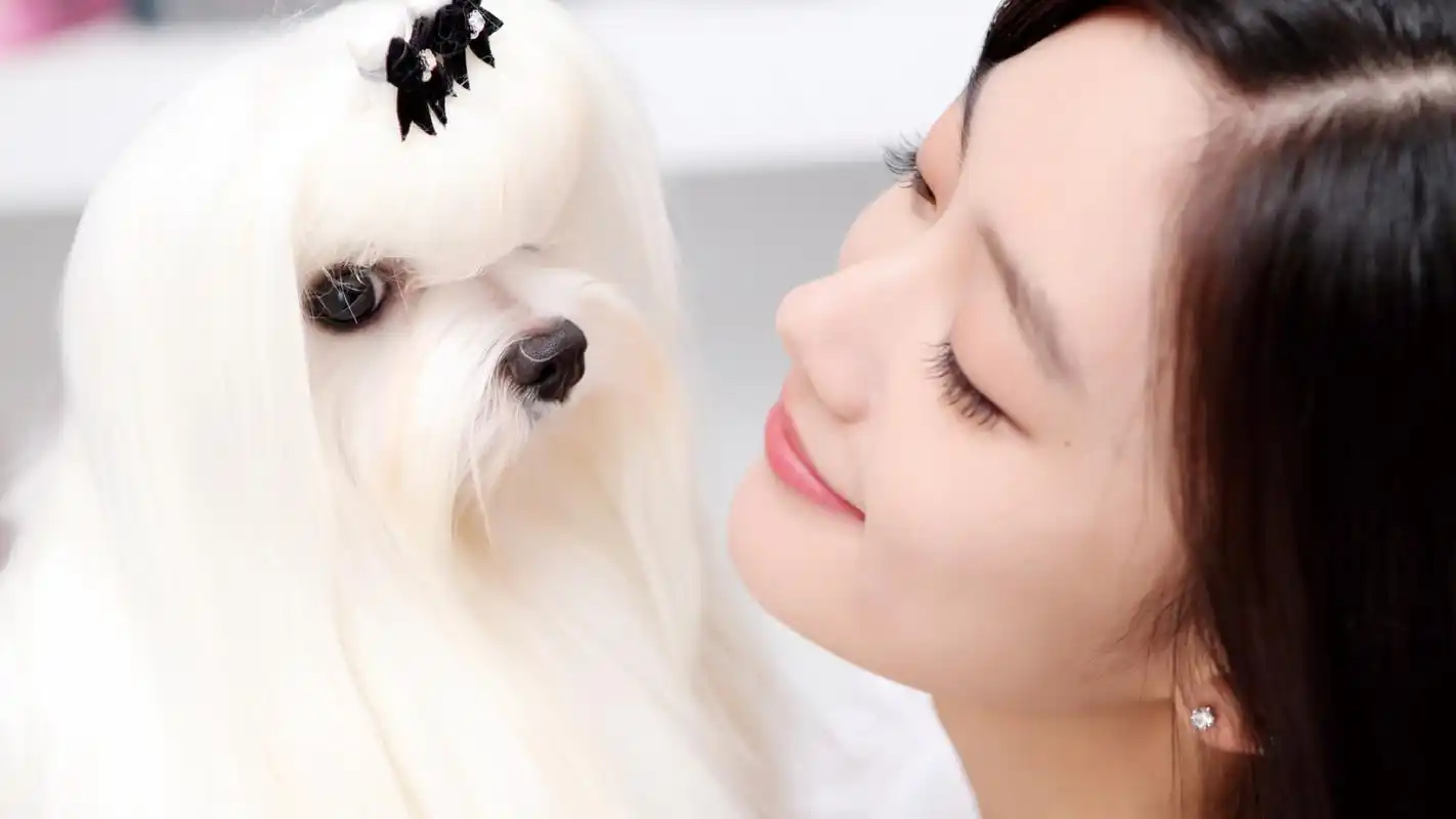 韩国美女李成敏电脑桌面壁纸