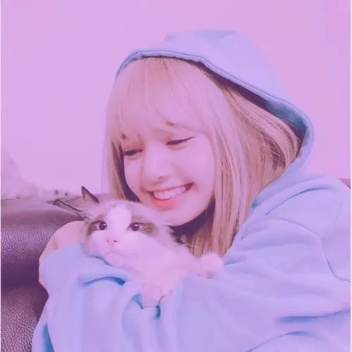 lisa-神仙idol头像……接单-话本小说网