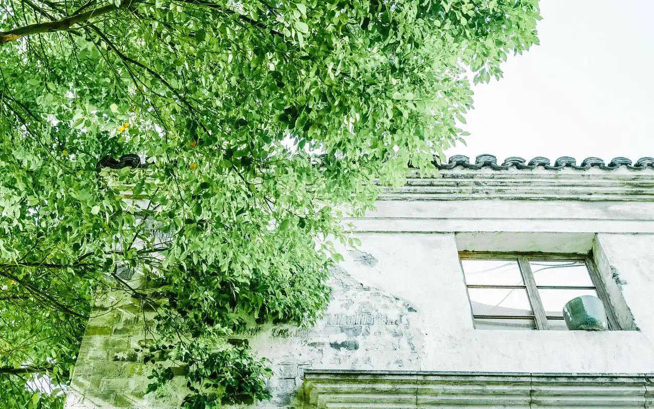 文艺小清新绿色护眼唯美意境高清壁纸