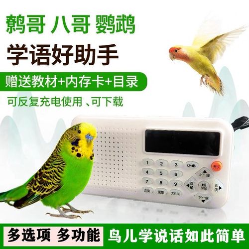 鸟用学习机鹦鹉学说话机八哥学习机复读机鹩哥录音教讲话训练学语