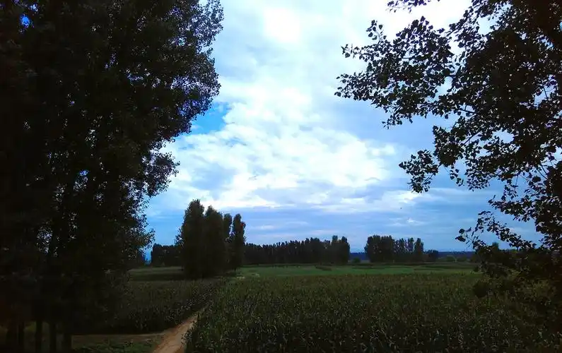 初秋的堤坝800w像素手机拍