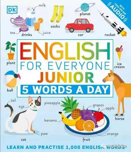 dk精品新书:100%解决孩子英文词汇量每天掌握5个单词_english