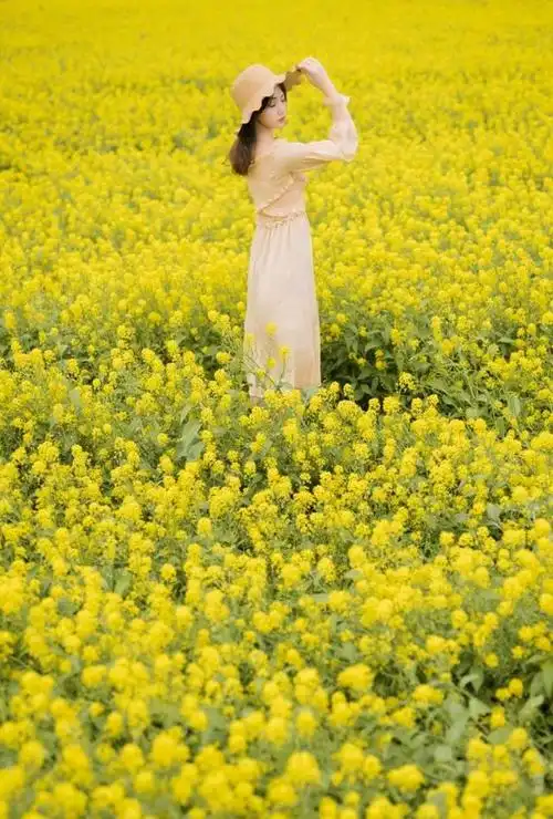 春天拍照,11个拍照姿势,和春天油菜花一起,拍照美美的