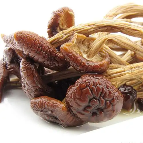 茶树菇 野生菌菇农家特产 礼盒茶树菇250克