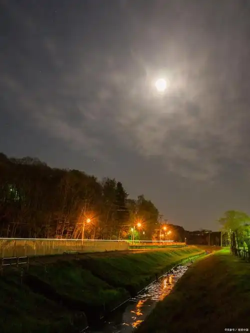这是一个静谧的夜晚,远离城市的喧嚣,夜色朦胧,微凉的夜风拂过树梢