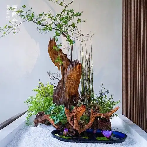 景观自然自然风风化枯木艺术造型型木客厅玄关其他