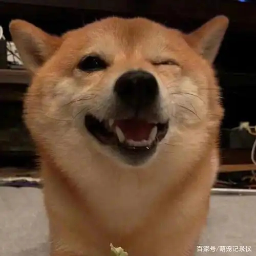 给你一个爱的wink