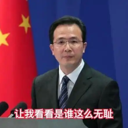 南海仲裁案结果公布外交部发言人威严表情包高清无水印免费下载