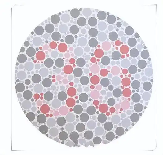 通用的5张考驾照色盲测试图认出3张算合格你能认出几张