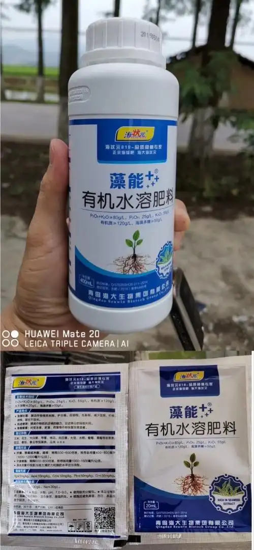 正宗海藻肥-海大海状元始兴辣椒示范11天回访,好产品会说话!