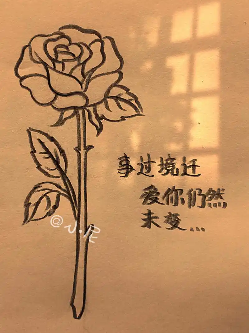 玫瑰花绘画教程 教你画玫瑰花